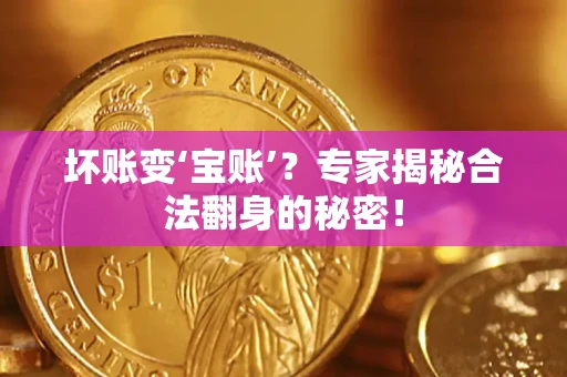 北京坏账变‘宝账’？专家揭秘合法翻身的秘密！