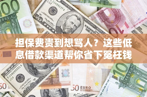 北京担保费贵到想骂人？这些低息借款渠道帮你省下冤枉钱