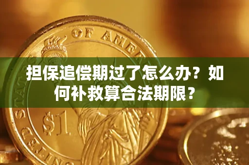 北京担保追偿期过了怎么办？如何补救算合法期限？