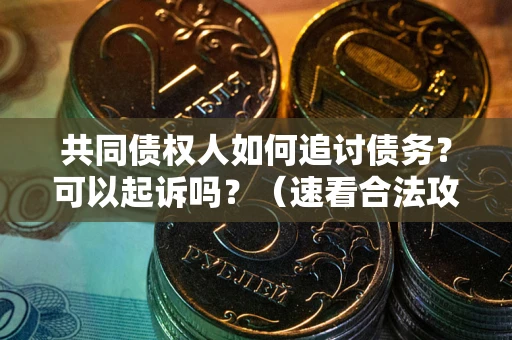 北京共同债权人如何追讨债务？可以起诉吗？（速看合法攻略）