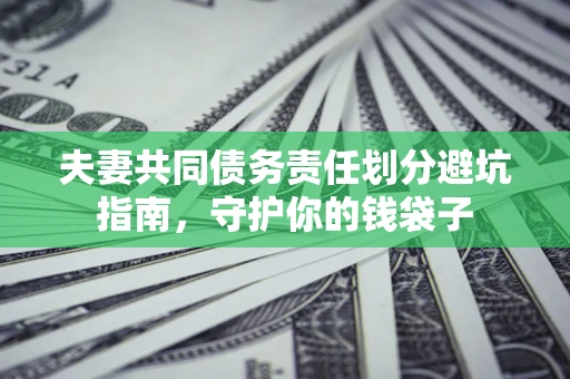 北京夫妻共同债务责任划分避坑指南，守护你的钱袋子